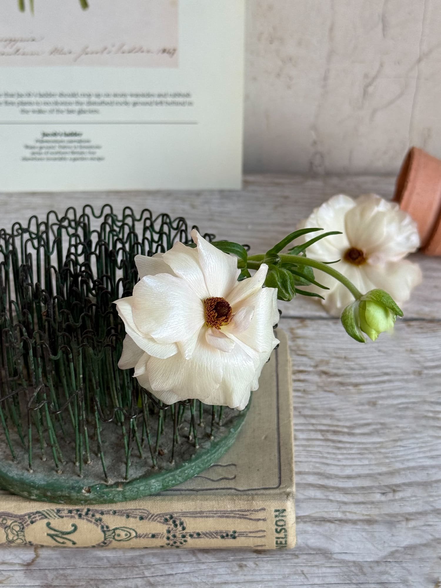 Rare Vintage Hairpin Flower Frogs | Blue Ribbon Floral Arranging